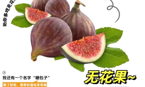 干姜功效与作用及禁忌图片-干姜功效与作用及禁忌-专业干姜的作用与功效和作用平台-干姜功效与作用及禁忌症