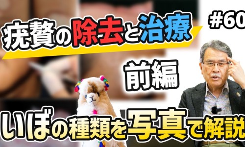 干姜功效与作用的功效与作用-干姜功效与作用及禁忌-专业干姜的作用与功效和作用平台-干姜功效与作用及禁忌症